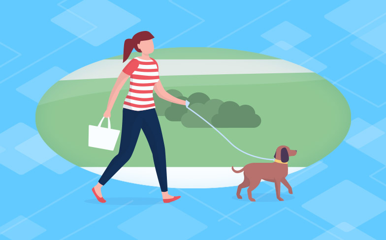 Pet insurance